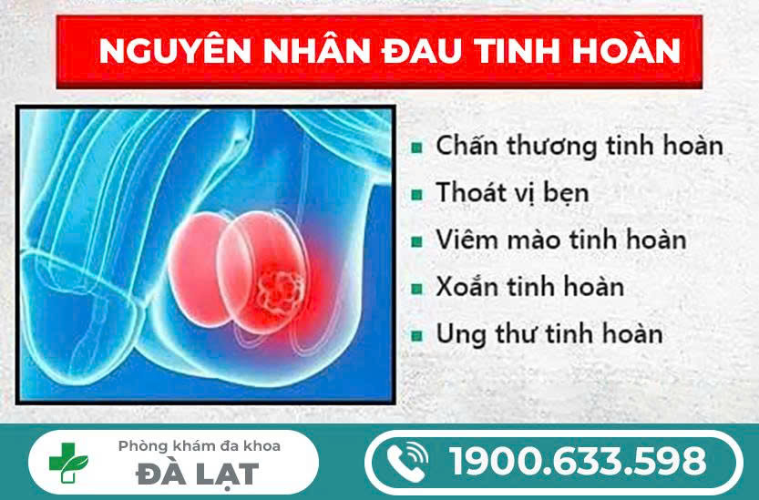 Hình ảnh minh họa
